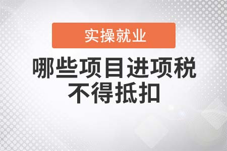 哪些項目的進(jìn)項稅額不得抵扣？