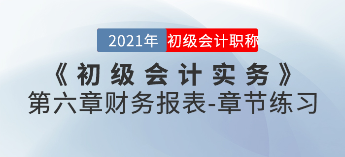 2021年《初級會計實務》第六章財務報表-章節(jié)練習