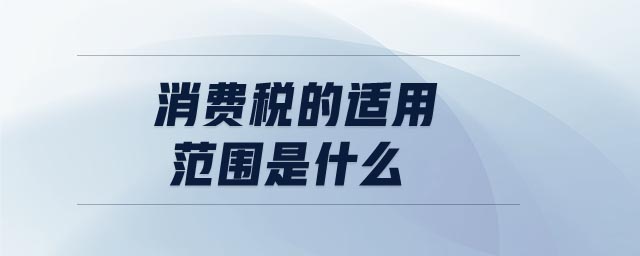 消費稅的適用范圍是什么
