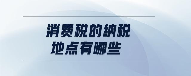 消費(fèi)稅的納稅地點(diǎn)有哪些