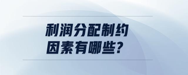 利潤分配制約因素有哪些