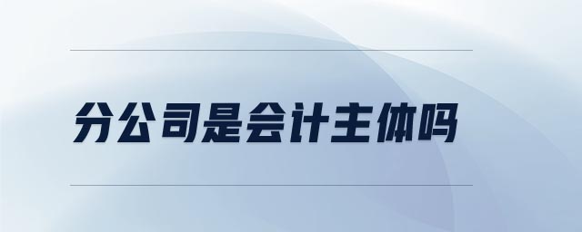 分公司是會(huì)計(jì)主體嗎