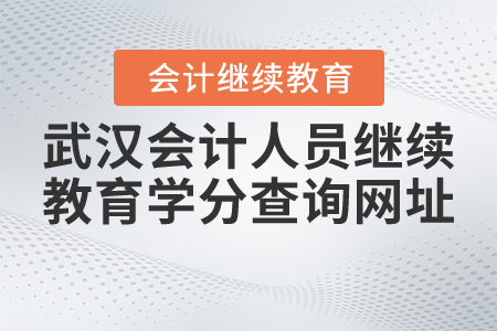 武漢會計人員繼續(xù)教育學分查詢網址