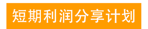 短期利潤(rùn)分享計(jì)劃