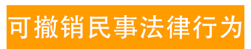 可撤銷(xiāo)民事法律行為