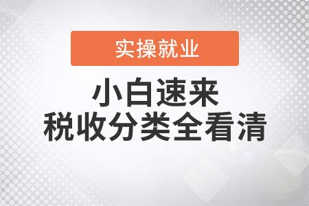 小白速來！稅收分類全看清