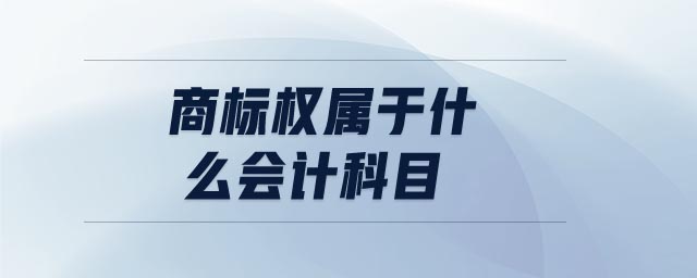 商標(biāo)權(quán)屬于什么會計科目