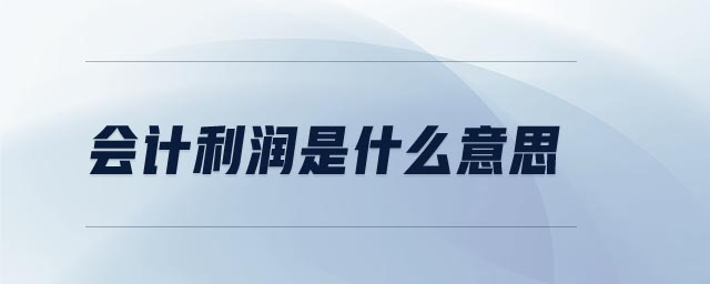 會計利潤是什么意思