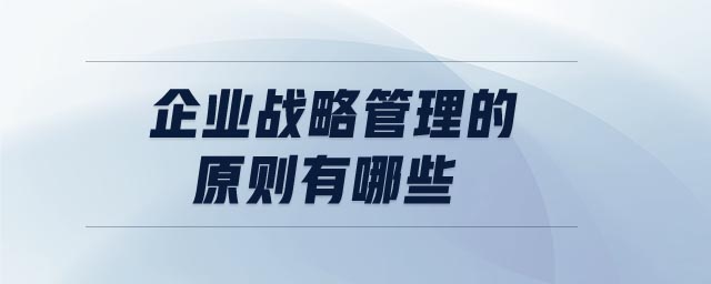 企業(yè)戰(zhàn)略管理的原則有哪些