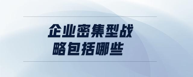 企業(yè)密集型戰(zhàn)略包括哪些