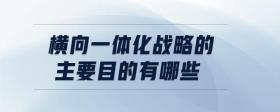 橫向一體化戰(zhàn)略的主要目的有哪些