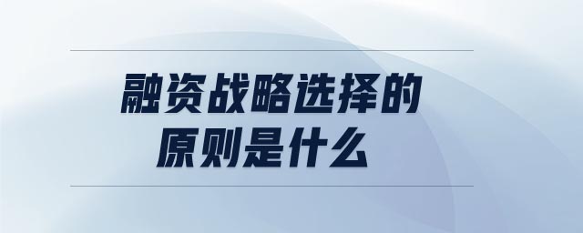融資戰(zhàn)略選擇的原則是什么