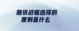 融資戰(zhàn)略選擇的原則是什么
