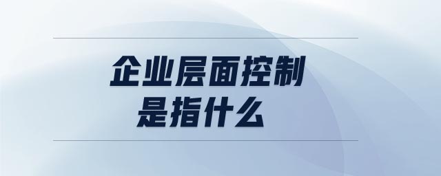 企業(yè)層面控制是指什么