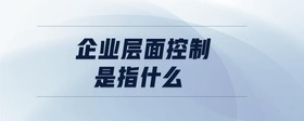 企業(yè)層面控制是指什么
