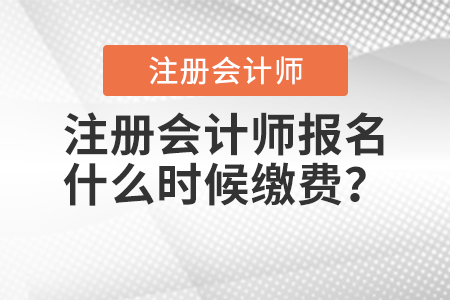 注冊會計師報名什么時候繳費？