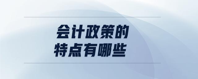 會計政策的特點有哪些