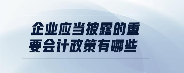 企業(yè)應(yīng)當(dāng)披露的重要會計政策有哪些