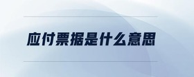 應(yīng)付票據(jù)是什么意思