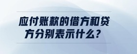 應(yīng)付賬款的借方和貸方分別表示什么?