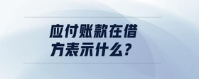 應(yīng)付賬款在借方表示什么?