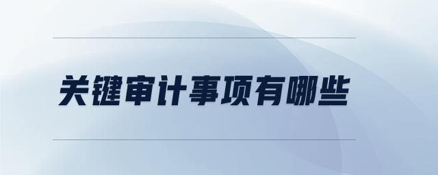 關(guān)鍵審計(jì)事項(xiàng)有哪些