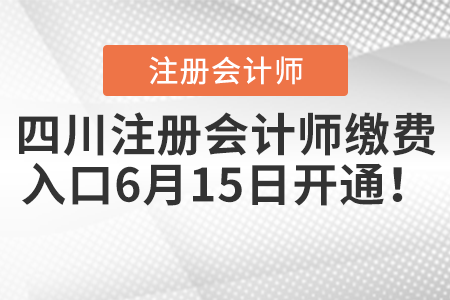 四川注冊會(huì)計(jì)師繳費(fèi)入口6月15日開通！