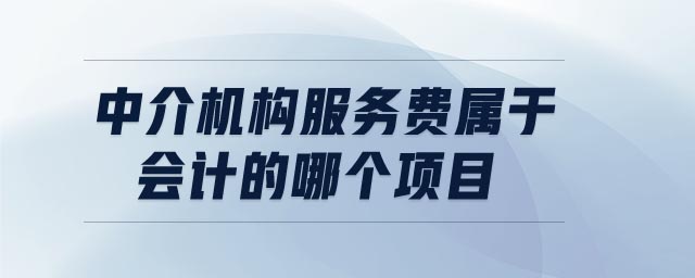 中介機構服務費屬于會計的哪個項目