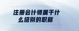 注冊會計師屬于什么級別的職稱