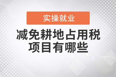 減免耕地占用稅的項(xiàng)目有哪些？
