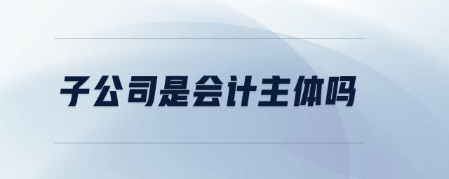 子公司是會(huì)計(jì)主體嗎