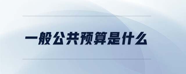 一般公共預(yù)算是什么