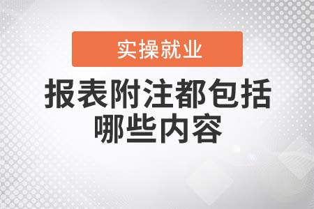 報(bào)表附注都包括哪些內(nèi)容？