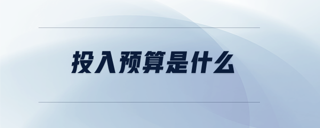 投入預算是什么