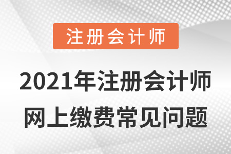 2021年注冊會(huì)計(jì)師網(wǎng)上繳費(fèi)常見問題