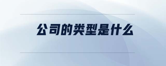 公司的類型是什么
