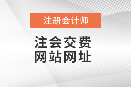 注會交費網(wǎng)站網(wǎng)址