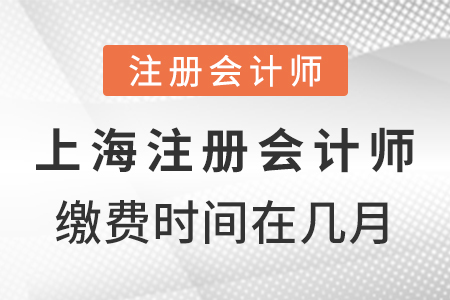 上海市黃浦區(qū)注冊會計師繳費時間在幾月？