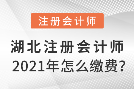 湖北省鄂州2021年注冊(cè)會(huì)計(jì)師怎么繳費(fèi)？