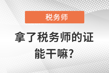 拿了稅務(wù)師的證能干嘛?
