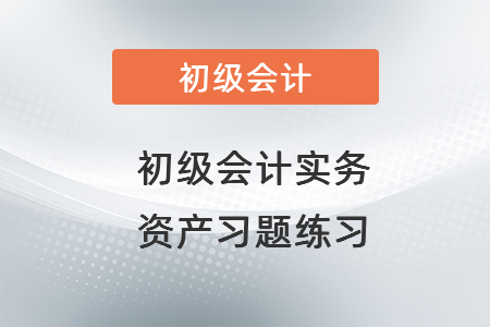 初級會計(jì)實(shí)務(wù)資產(chǎn)習(xí)題練習(xí)