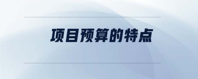 項目預(yù)算的特點