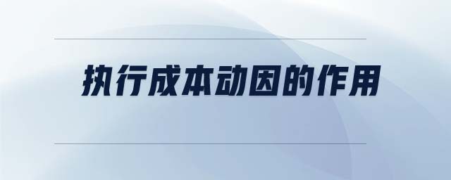 執(zhí)行成本動(dòng)因的作用