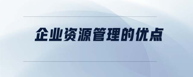 企業(yè)資源管理的優(yōu)點