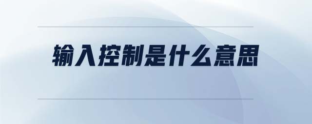 輸入控制是什么意思