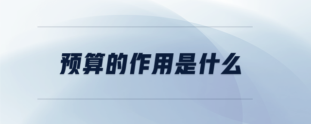 預算的作用是什么