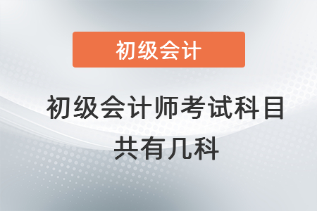 初級會計(jì)師考試科目共有幾科
