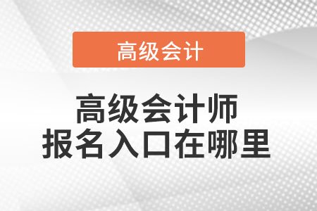 高級會(huì)計(jì)師報(bào)名入口在哪里