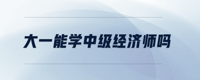 大一能學(xué)中級(jí)經(jīng)濟(jì)師嗎