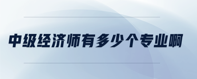 中級(jí)經(jīng)濟(jì)師有多少個(gè)專(zhuān)業(yè)啊